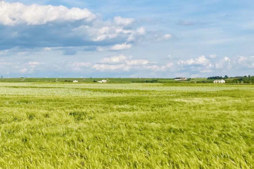 Un ciel bleu avec des baux nuages au dessus d'un champs vert.